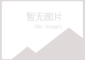 石泉县夏岚能源有限公司